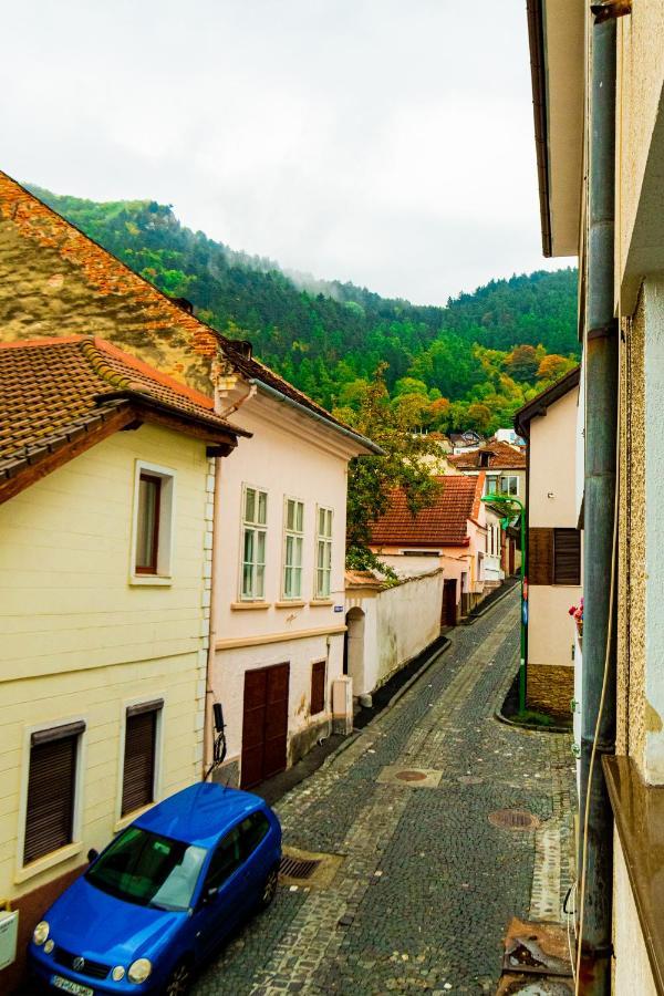 Ardor Apt - Bright And Secluded Apartment In The Heart Of Old Town Brasov Exterior photo